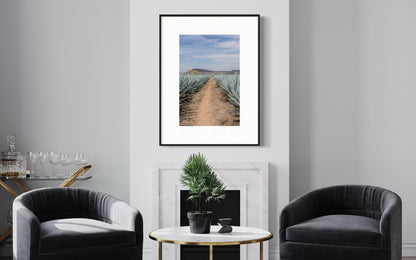 AGAVE HIGHWAY