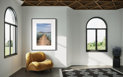 AGAVE HIGHWAY