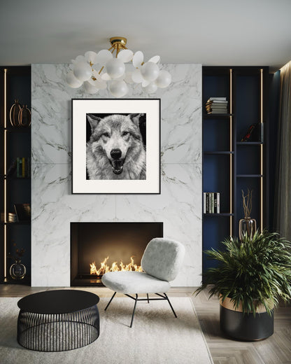 Alpha Stare Black & White Wolf Portrait | Fine Art Wildlife Print by Gil Stunner | Office, Lodge Decor, Cabin Wall Art, Nature Poster