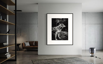 Fine Art Print - Wolf Monochrome Wall Art, Emotional Wildlife Photography for Rustic, Moody, or Masculine Interior Decor | Gil Stunner
