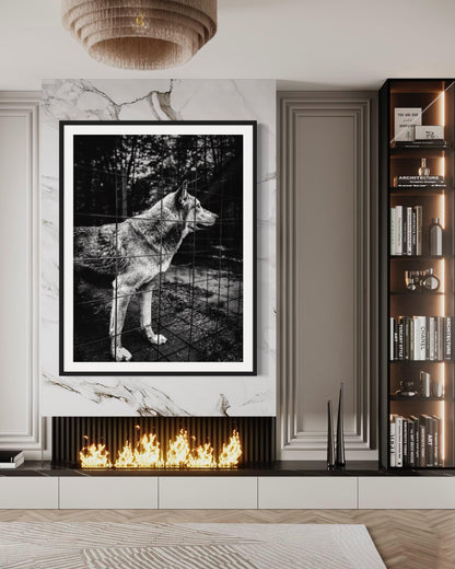 Fine Art Print - Wolf Monochrome Wall Art, Emotional Wildlife Photography for Rustic, Moody, or Masculine Interior Decor | Gil Stunner