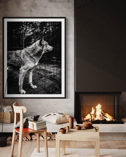 Fine Art Print - Wolf Monochrome Wall Art, Emotional Wildlife Photography for Rustic, Moody, or Masculine Interior Decor | Gil Stunner