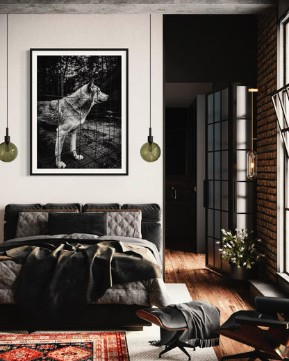 Fine Art Print - Wolf Monochrome Wall Art, Emotional Wildlife Photography for Rustic, Moody, or Masculine Interior Decor | Gil Stunner