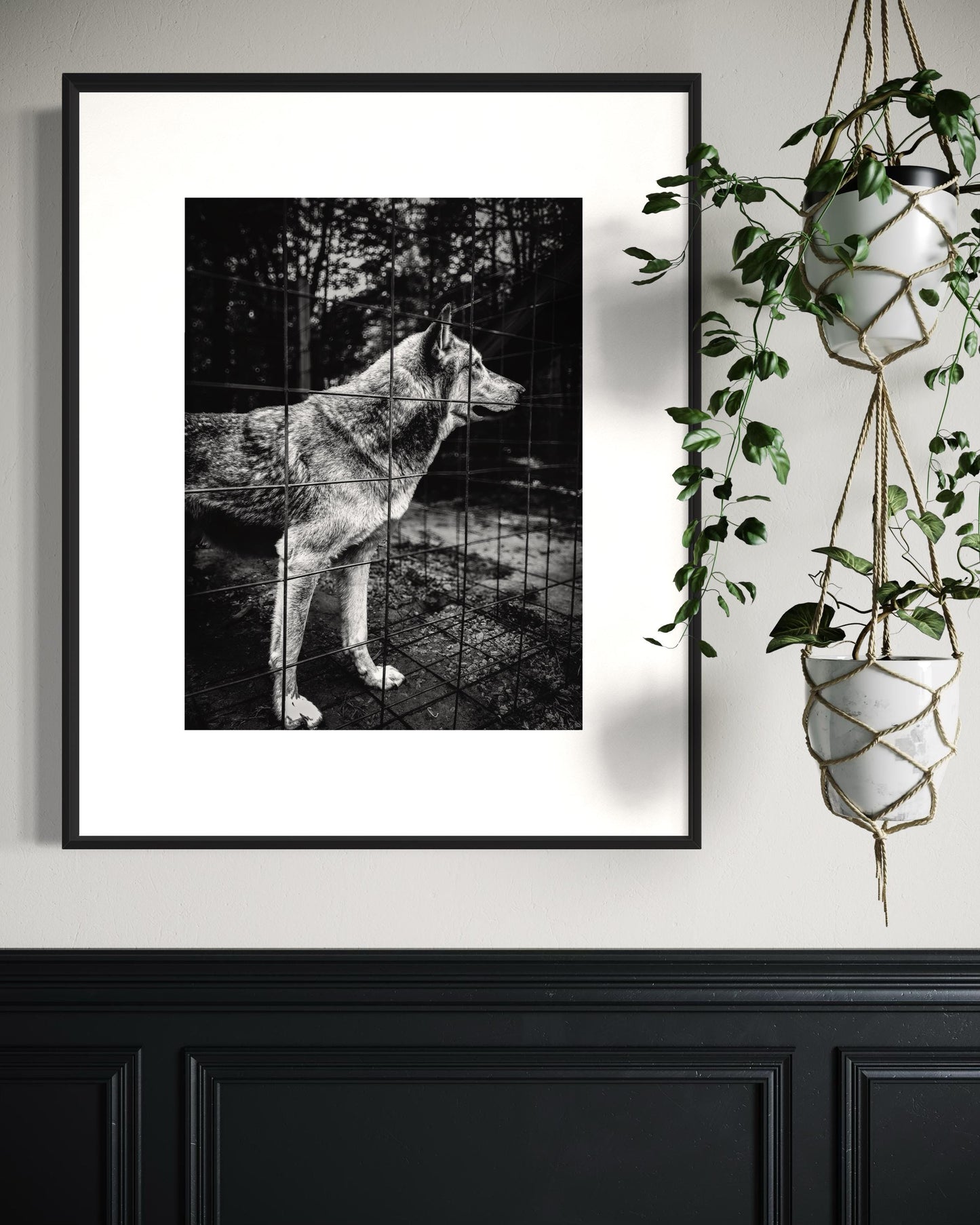 Fine Art Print - Wolf Monochrome Wall Art, Emotional Wildlife Photography for Rustic, Moody, or Masculine Interior Decor | Gil Stunner