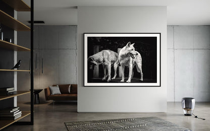 Fine Art Print - Black and White Wolf Duo Wall Art | Wildlife Print for Rustic Decor, Modern Lodge, Man Cave Room | Gil Stunner Art