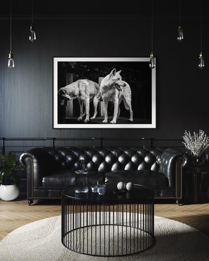 Fine Art Print - Black and White Wolf Duo Wall Art | Wildlife Print for Rustic Decor, Modern Lodge, Man Cave Room | Gil Stunner Art