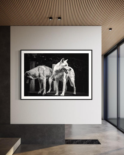 Fine Art Print - Black and White Wolf Duo Wall Art | Wildlife Print for Rustic Decor, Modern Lodge, Man Cave Room | Gil Stunner Art