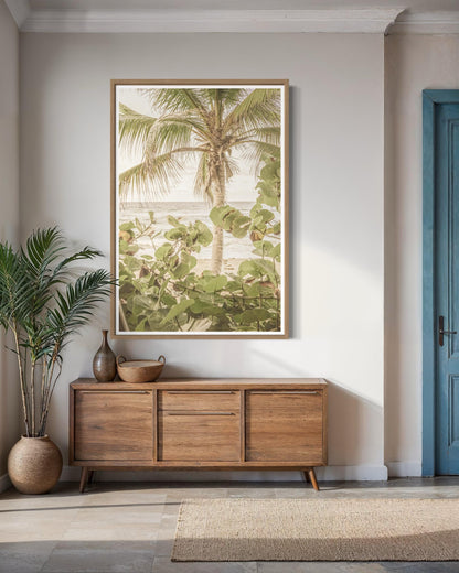 Palm View