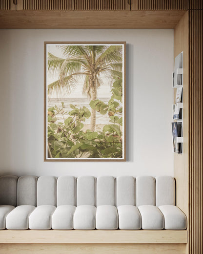 Palm View