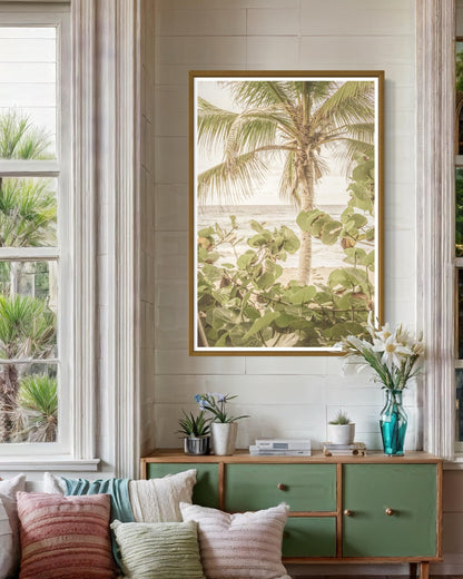 Palm View