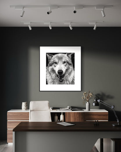 Alpha Stare Black & White Wolf Portrait | Fine Art Wildlife Print by Gil Stunner | Office, Lodge Decor, Cabin Wall Art, Nature Poster