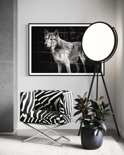 Fine Art Monochrome Wolf Photography Print | Black and White Wildlife Wall Art, Emotional Wolf Portrait, Rustic, Office, Masculine Decor