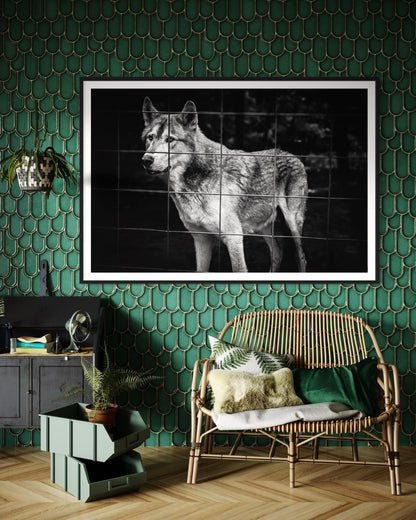 Fine Art Monochrome Wolf Photography Print | Black and White Wildlife Wall Art, Emotional Wolf Portrait, Rustic, Office, Masculine Decor