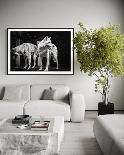 Fine Art Print - Black and White Wolf Duo Wall Art | Wildlife Print for Rustic Decor, Modern Lodge, Man Cave Room | Gil Stunner Art