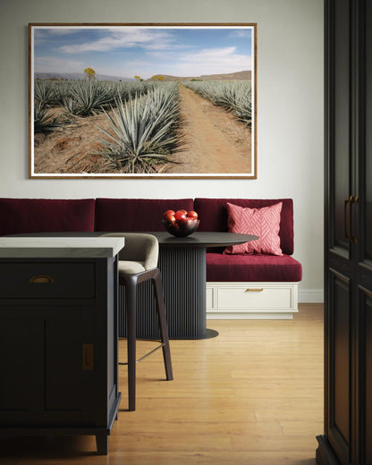 The Soul of Tequila Country