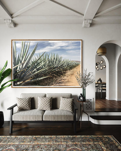 Roots of Tequila