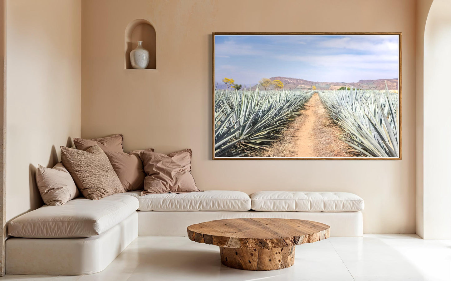 Agave Highway