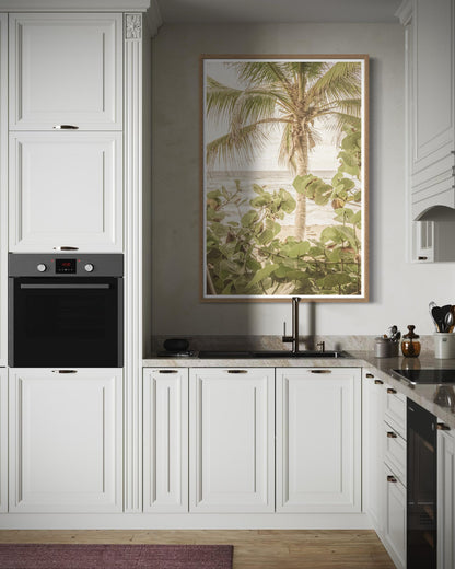 Palm View