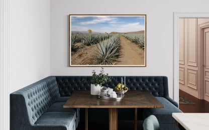 The Soul of Tequila Country