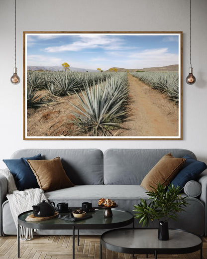 The Soul of Tequila Country