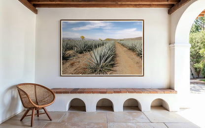 The Soul of Tequila Country