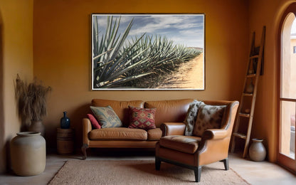 Roots of Tequila