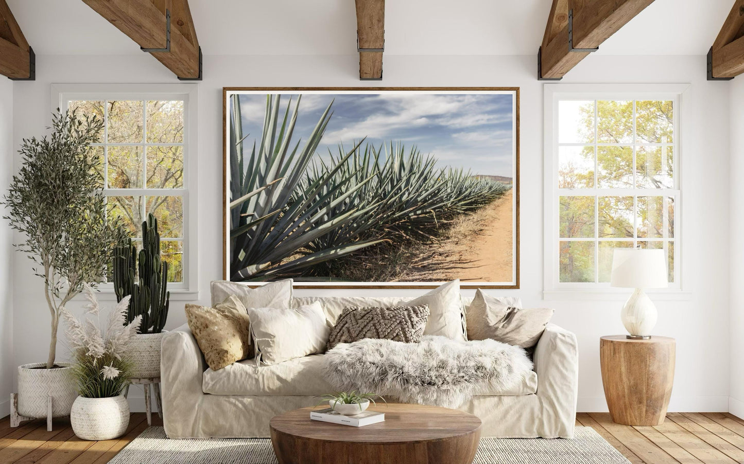 Roots of Tequila