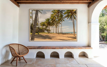 Fine Art Tropical Palm Trees Beach Print - Island Beach Coastal Travel Ocean Photography, Tropical Home Wall Decor, Gift for her, caribbean
