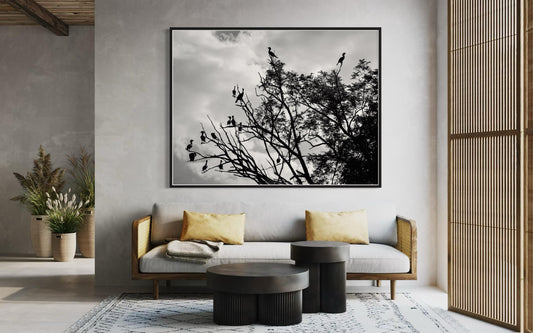 Fine Art Print - Black and White Bird Duck Silhouette Wall Art, Tree Branches landscape decor,  minimalist decor, nature lovers gift, modern