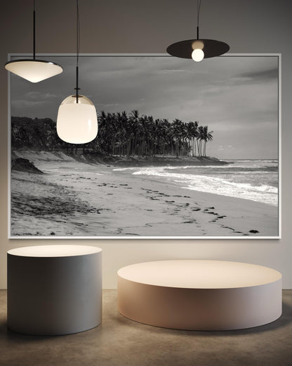 Fine Art Print - Black and white tropical beach wall art, palm beach print, coastal wall art for modern neutral decor, beach house, vacation