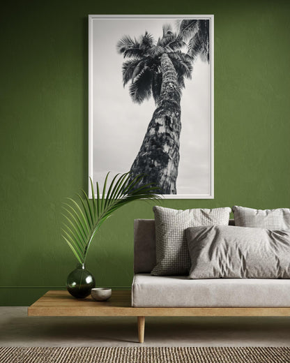 Fine Art Print - Coastal Black and white Palm tree Wall Art, tropical beach for minimalist bedroom, bath, office decor, Home Decor, Summer